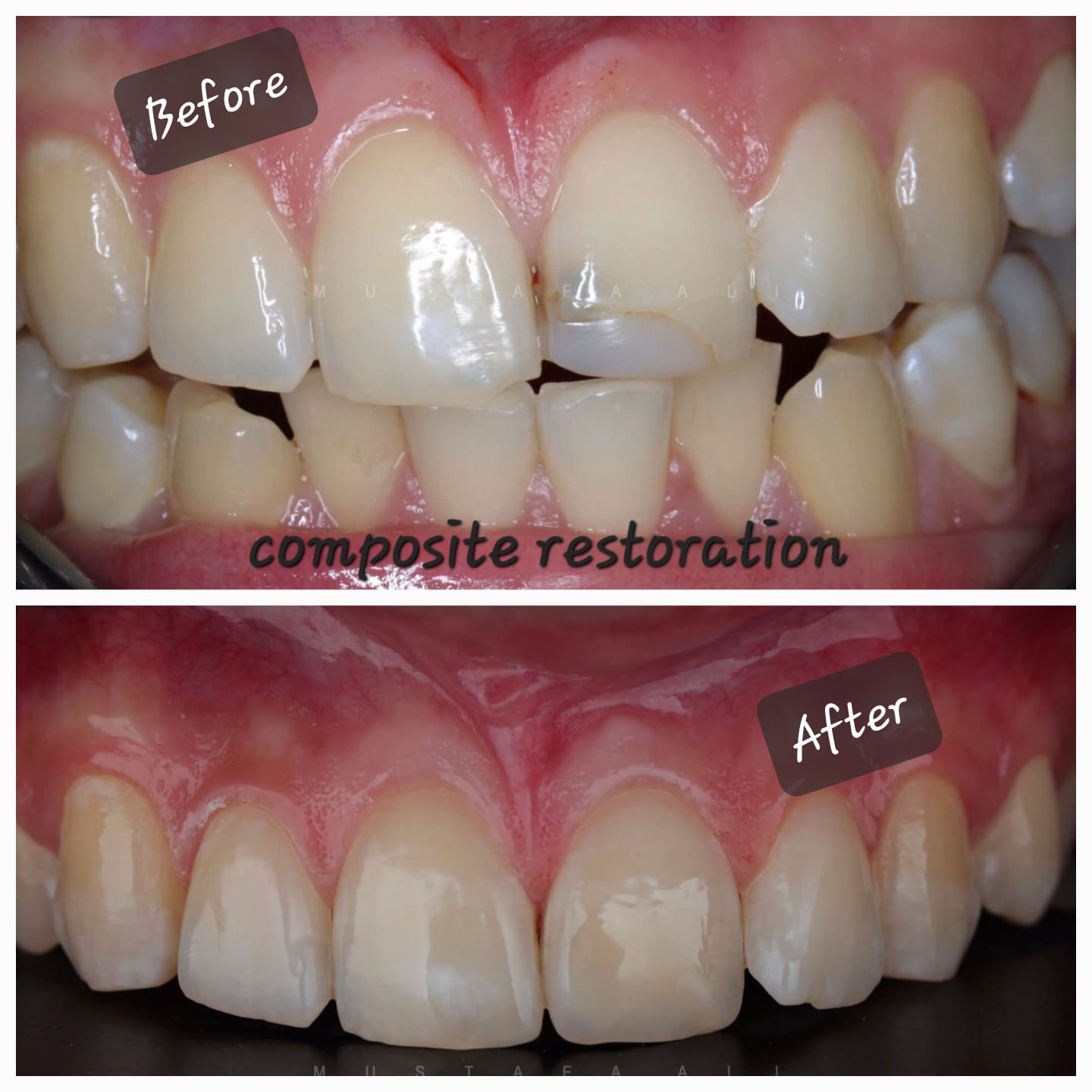 file - 2026-02-21T140201.588.jpeg